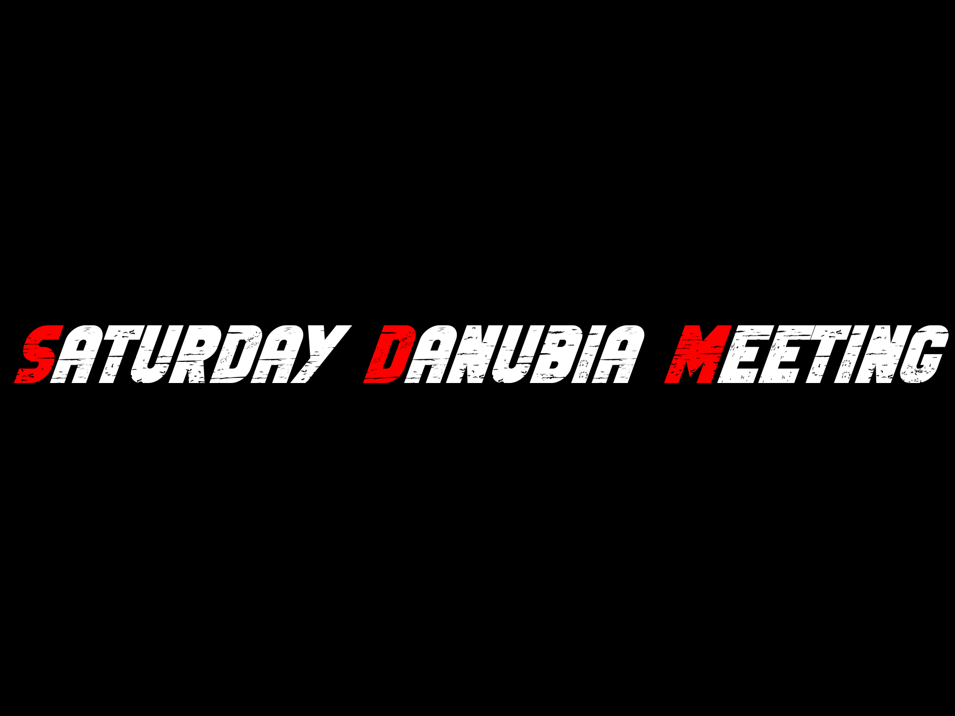 Saturday Danubia Meeting